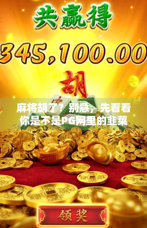 麻将胡了？别急，先看看你是不是PG网里的韭菜！