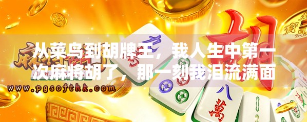 从菜鸟到胡牌王，我人生中第一次麻将胡了，那一刻我泪流满面